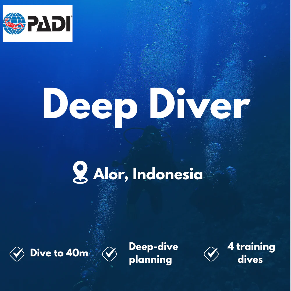 Deep Diver course in Alor