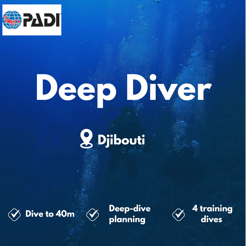 Deep Diver course in Djibouti