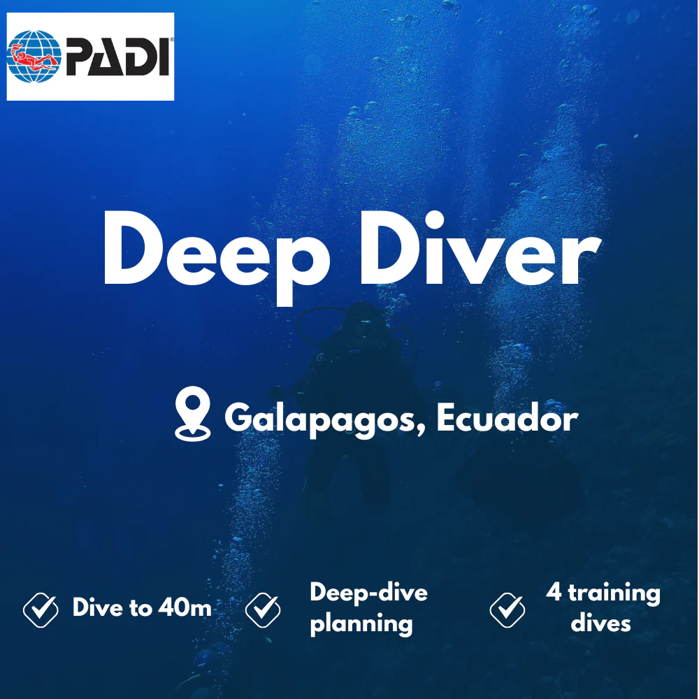 Deep Diver course in Galapagos