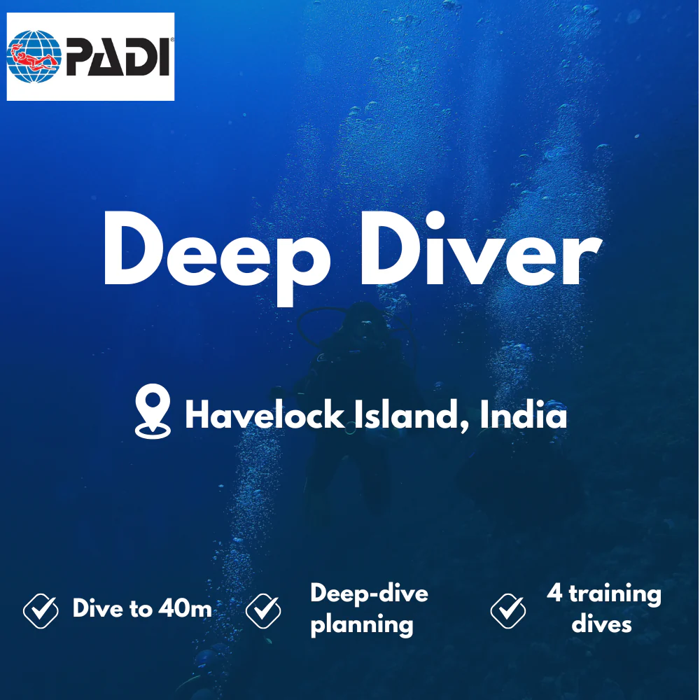 Deep Diver course in Havelock Island