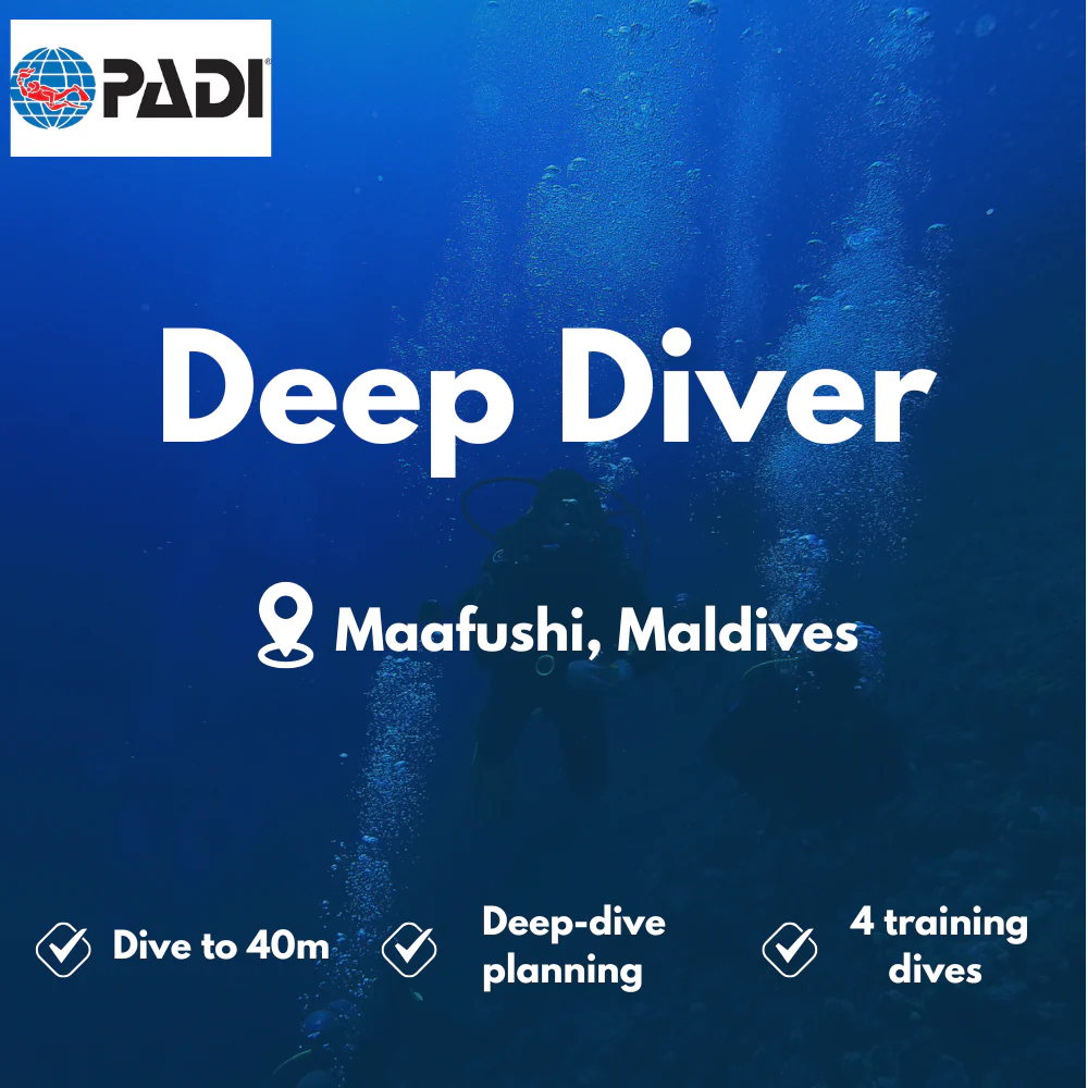 Deep Diver course in Maafushi