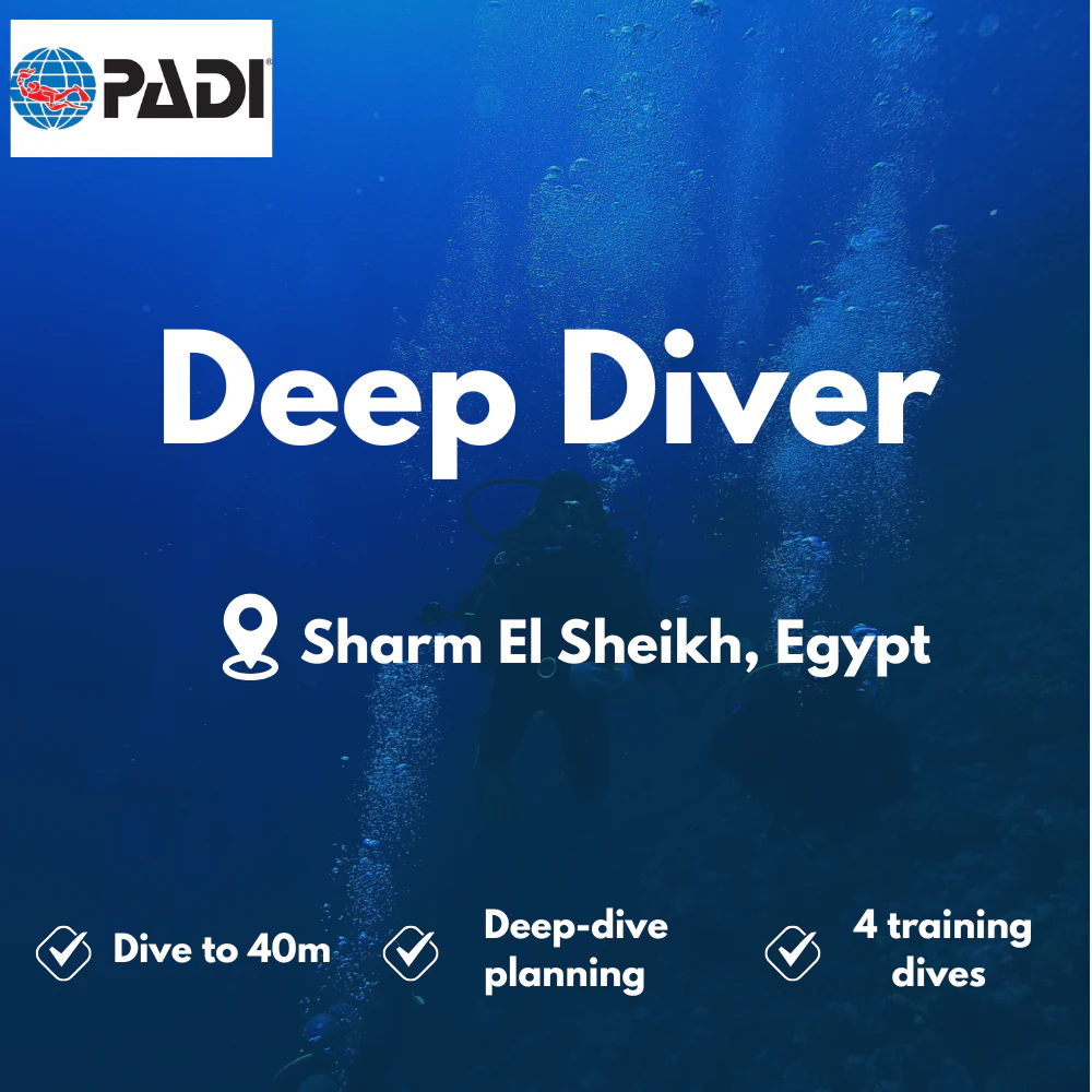 Deep Diver course in Sharm El Sheikh