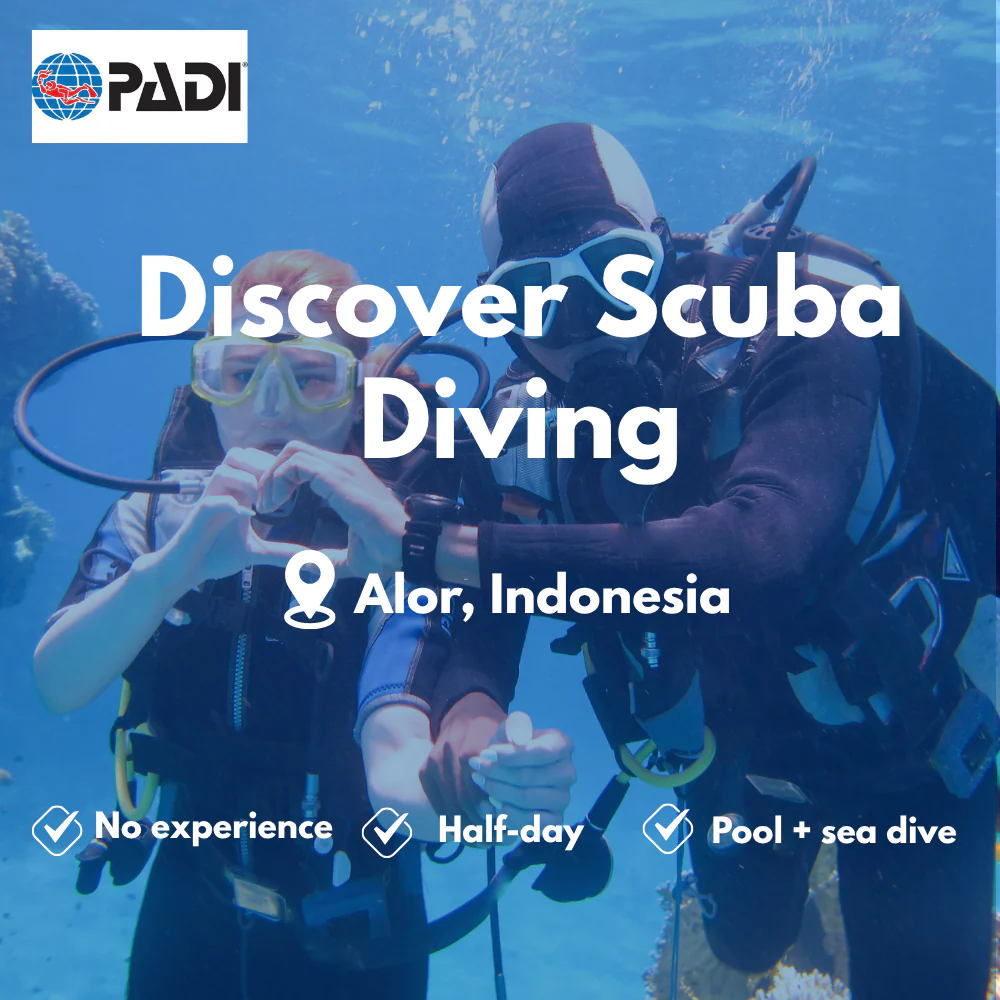 Discover Scuba course in Alor