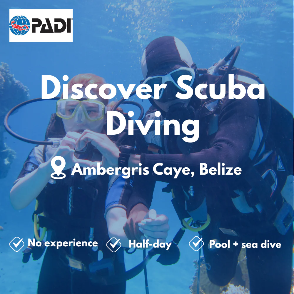 Discover Scuba course in Ambergris Caye