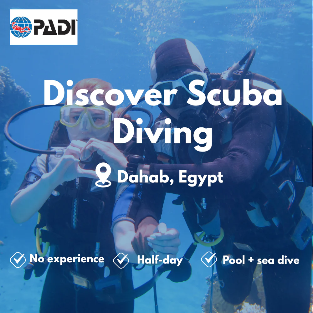 Discover Scuba course in Dahab
