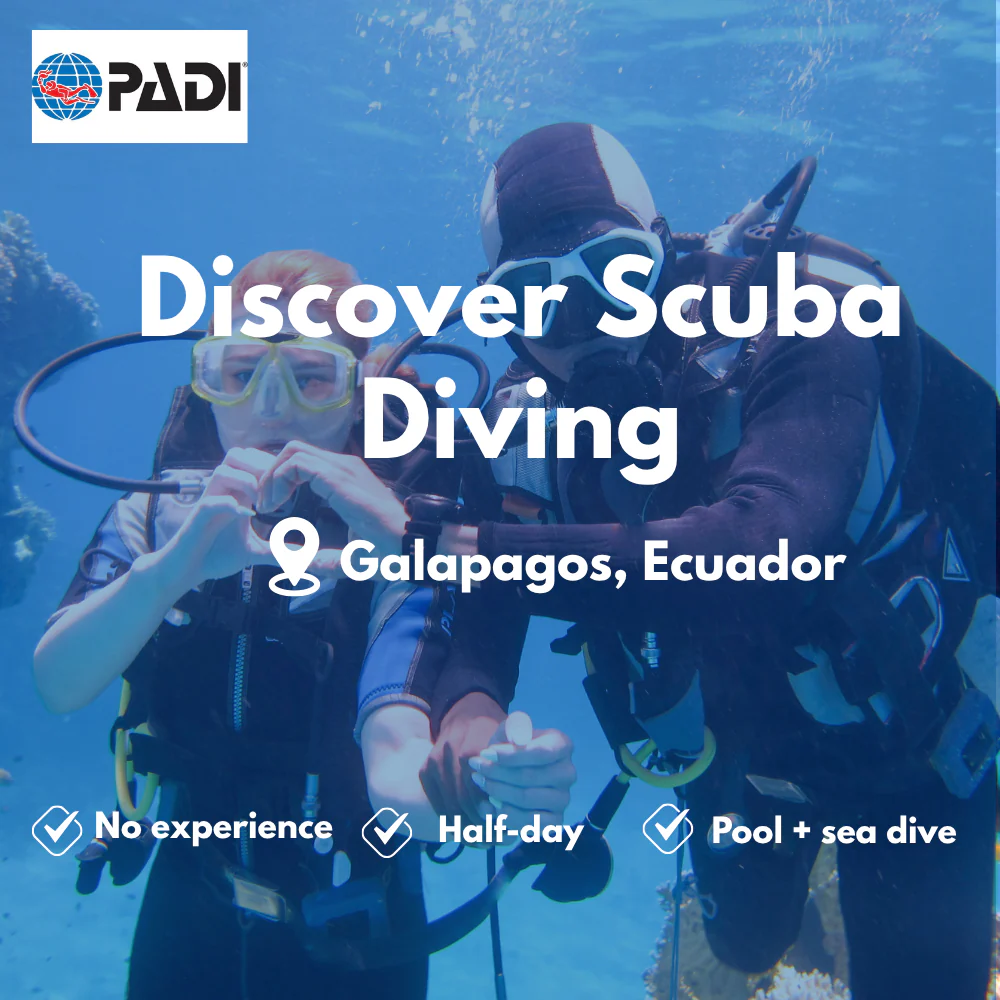 Discover Scuba course in Galapagos
