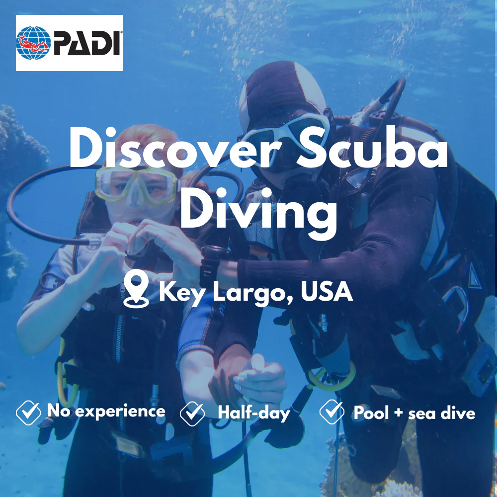 Discover Scuba course in Key Largo