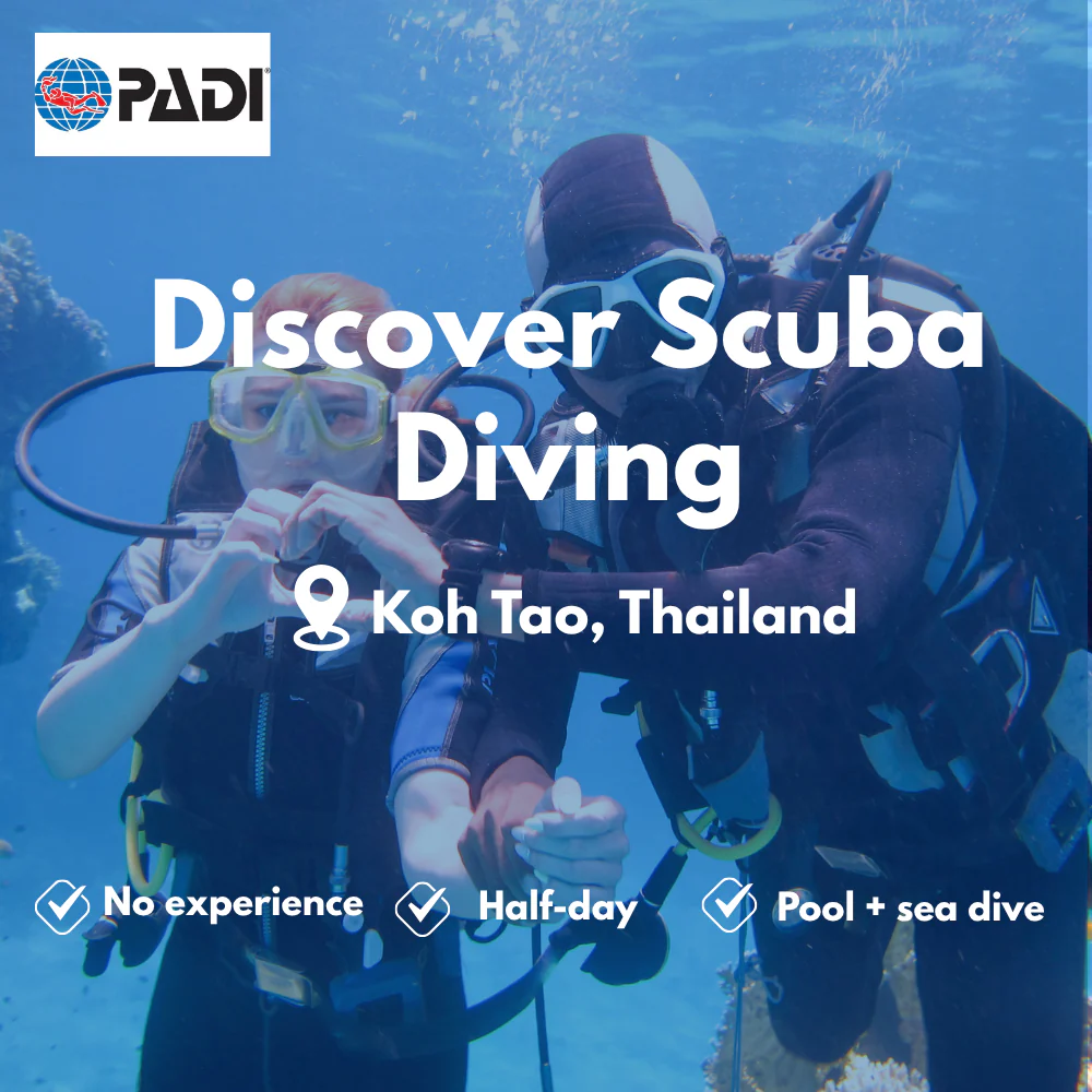 PADI Discover Scuba course in Koh Tao