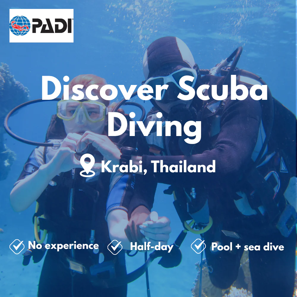 Discover Scuba course in Krabi