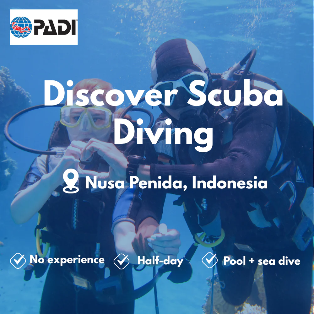 Discover Scuba course in Nusa Penida