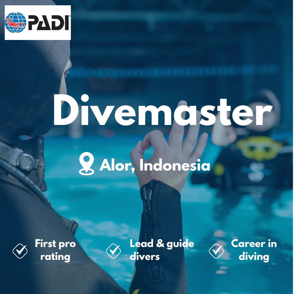 Divemaster course in Alor