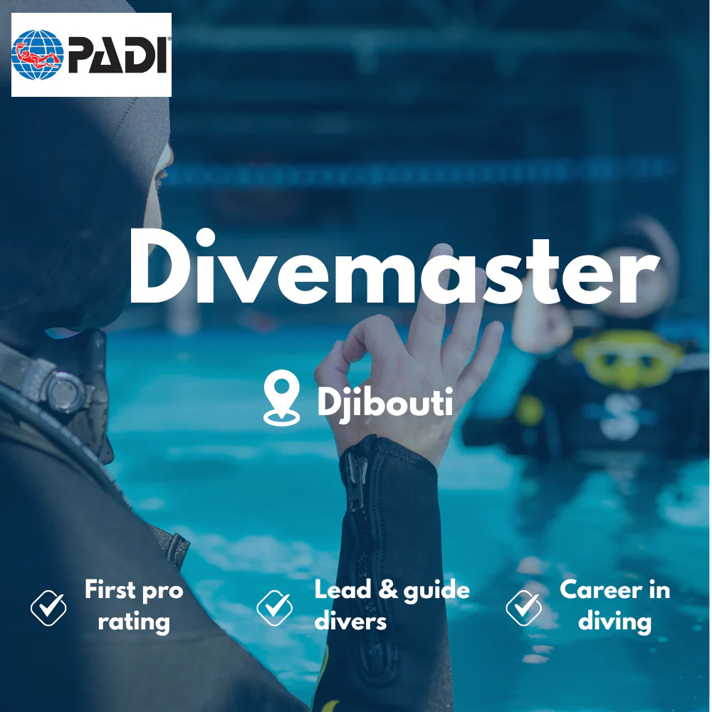 Divemaster course in Djibouti