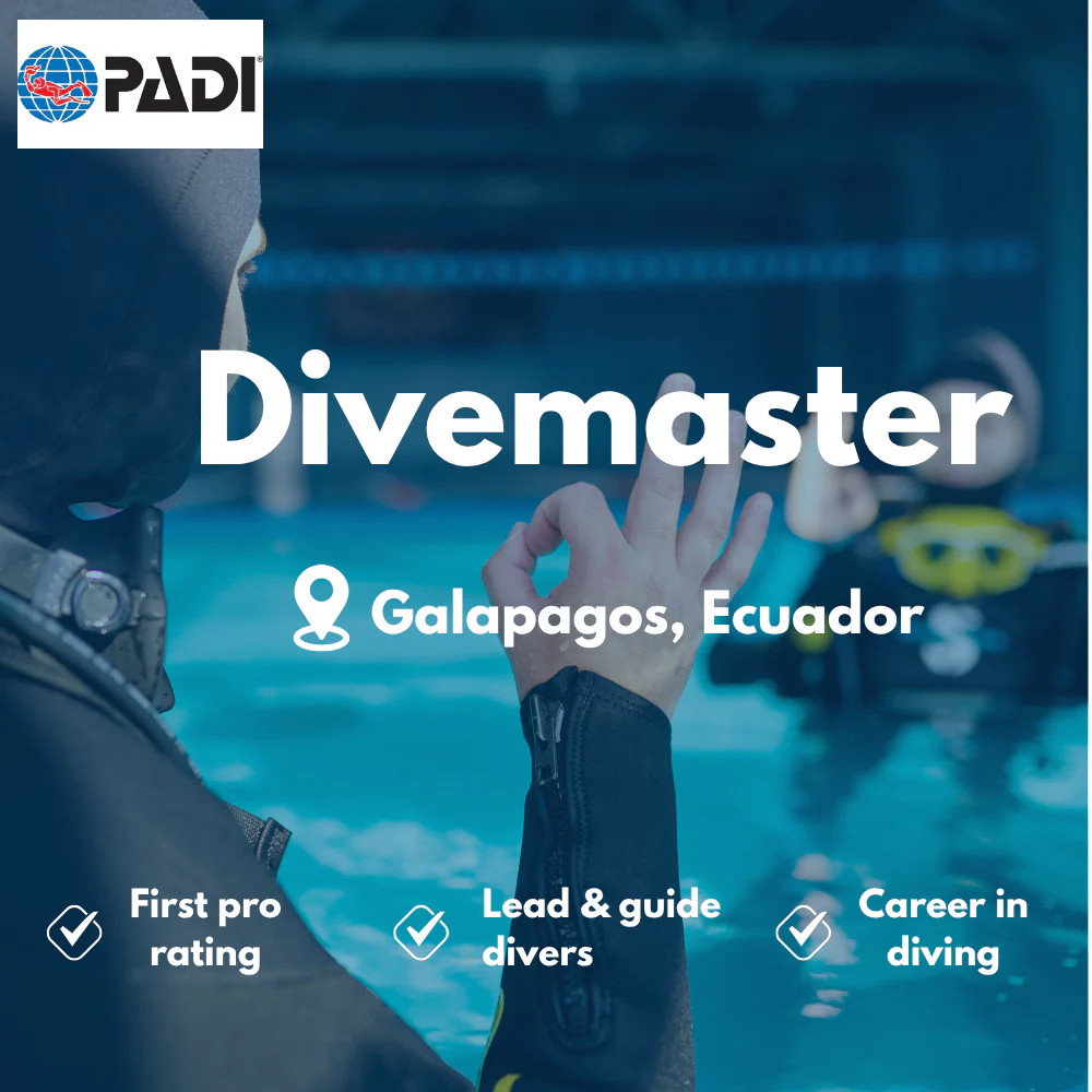 Divemaster course in Galapagos