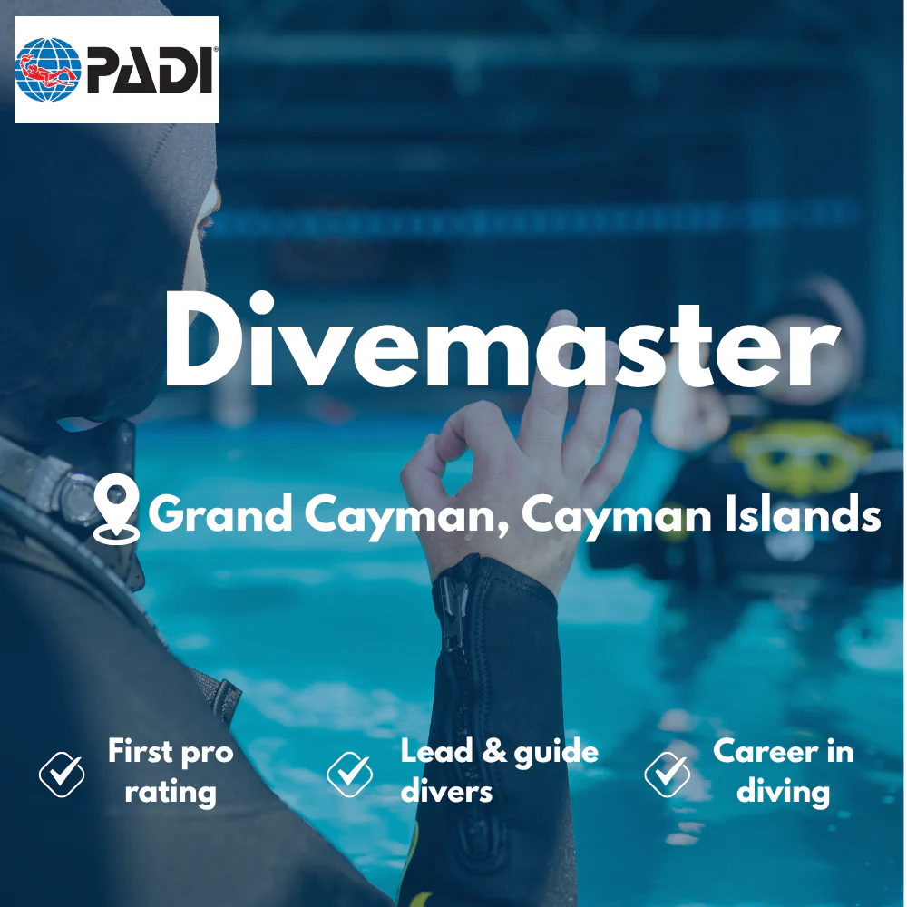 Divemaster course in Grand Cayman