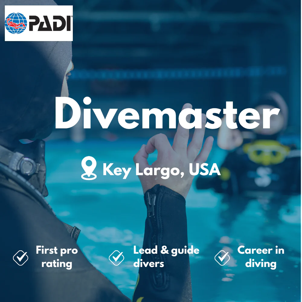 Divemaster course in Key Largo