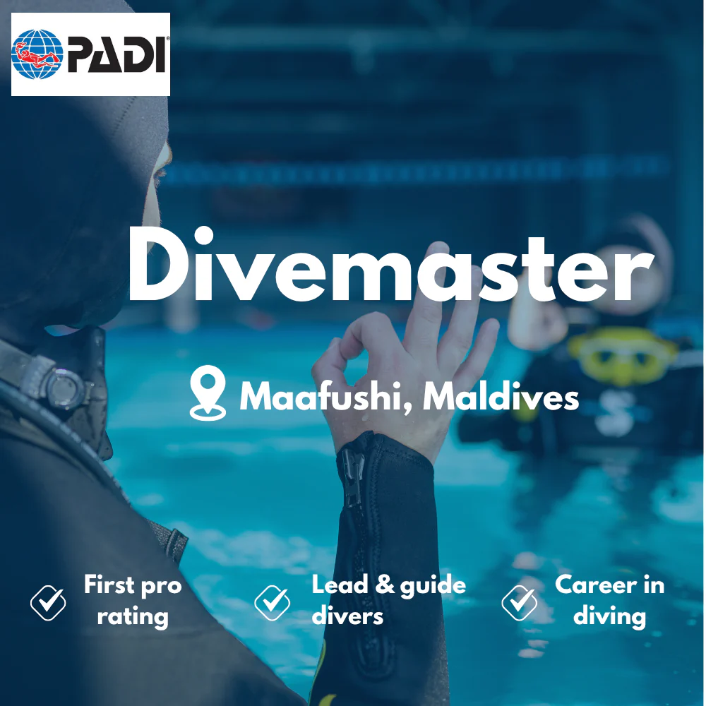 Divemaster course in Maafushi