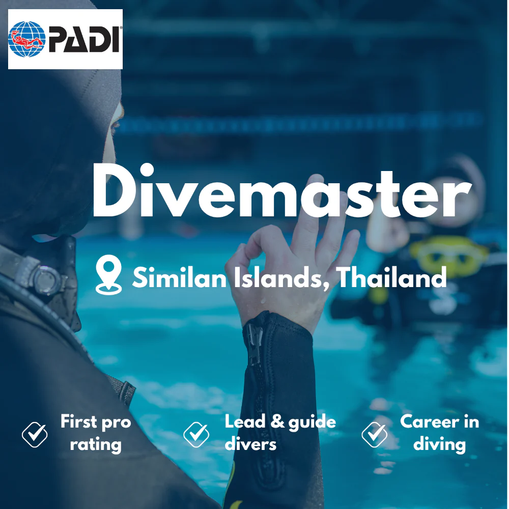 Divemaster course in Similan Islands
