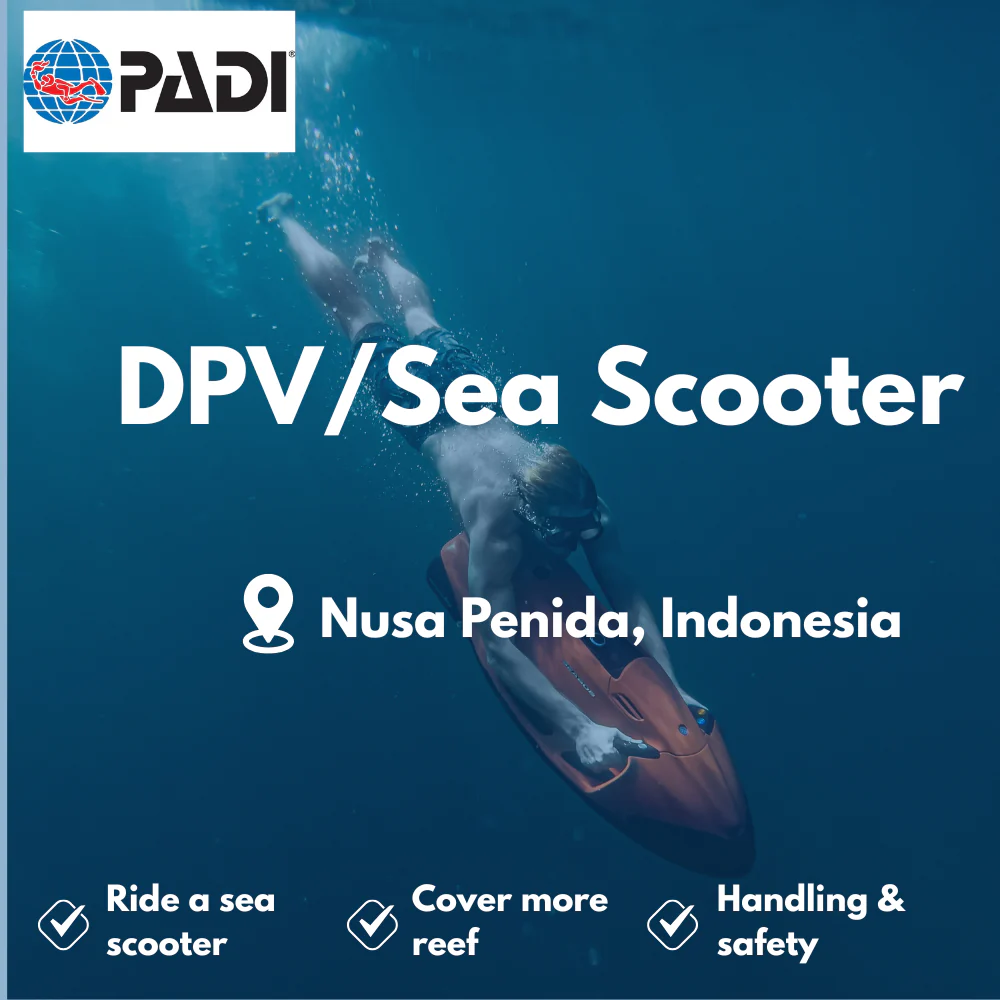 Diver Propulsion Vehicle course in Nusa Penida