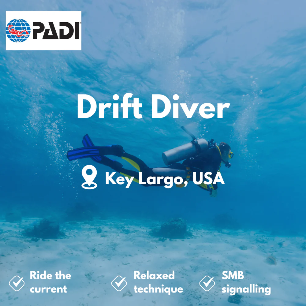 Drift Diver course in Key Largo