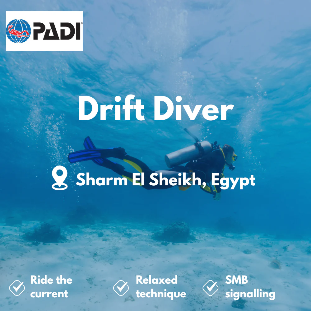 Drift Diver course in Sharm El Sheikh