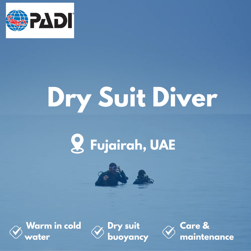 PADI Dry Suit Diver course in Fujairah