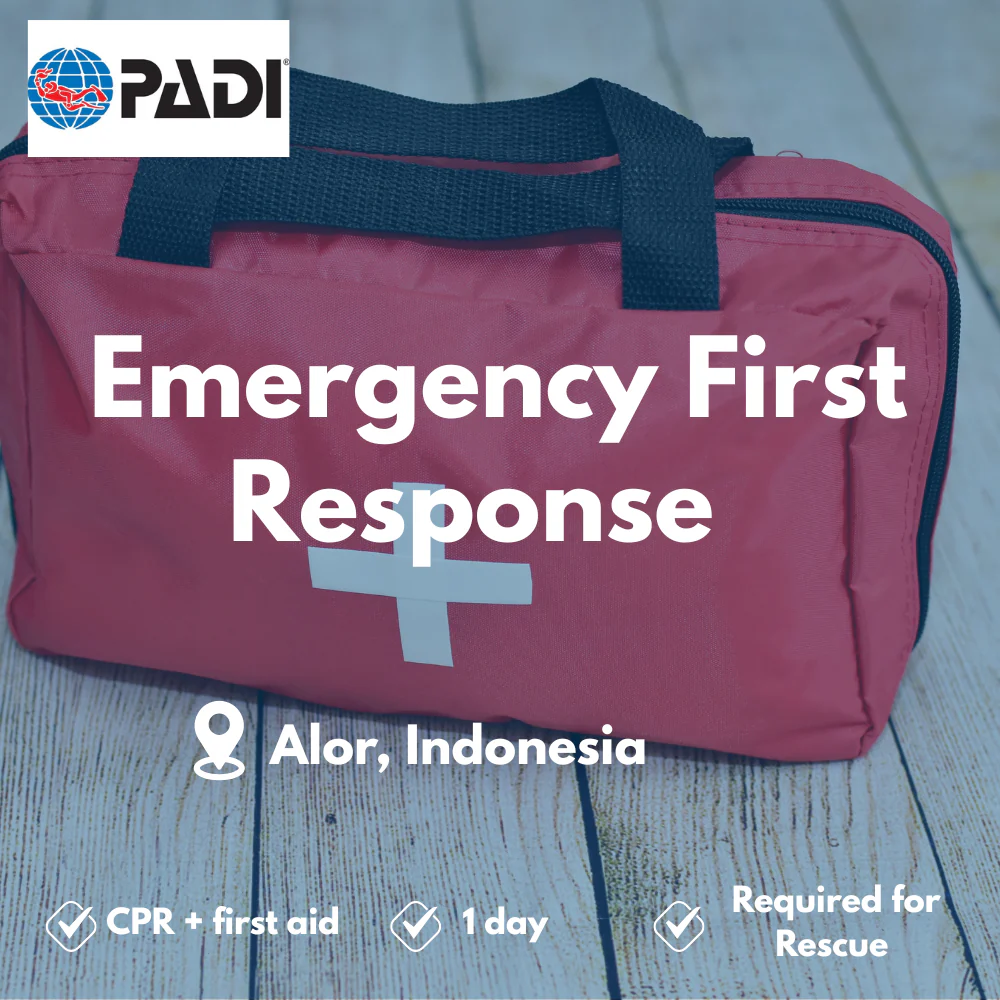 Emergency First Response course in Alor