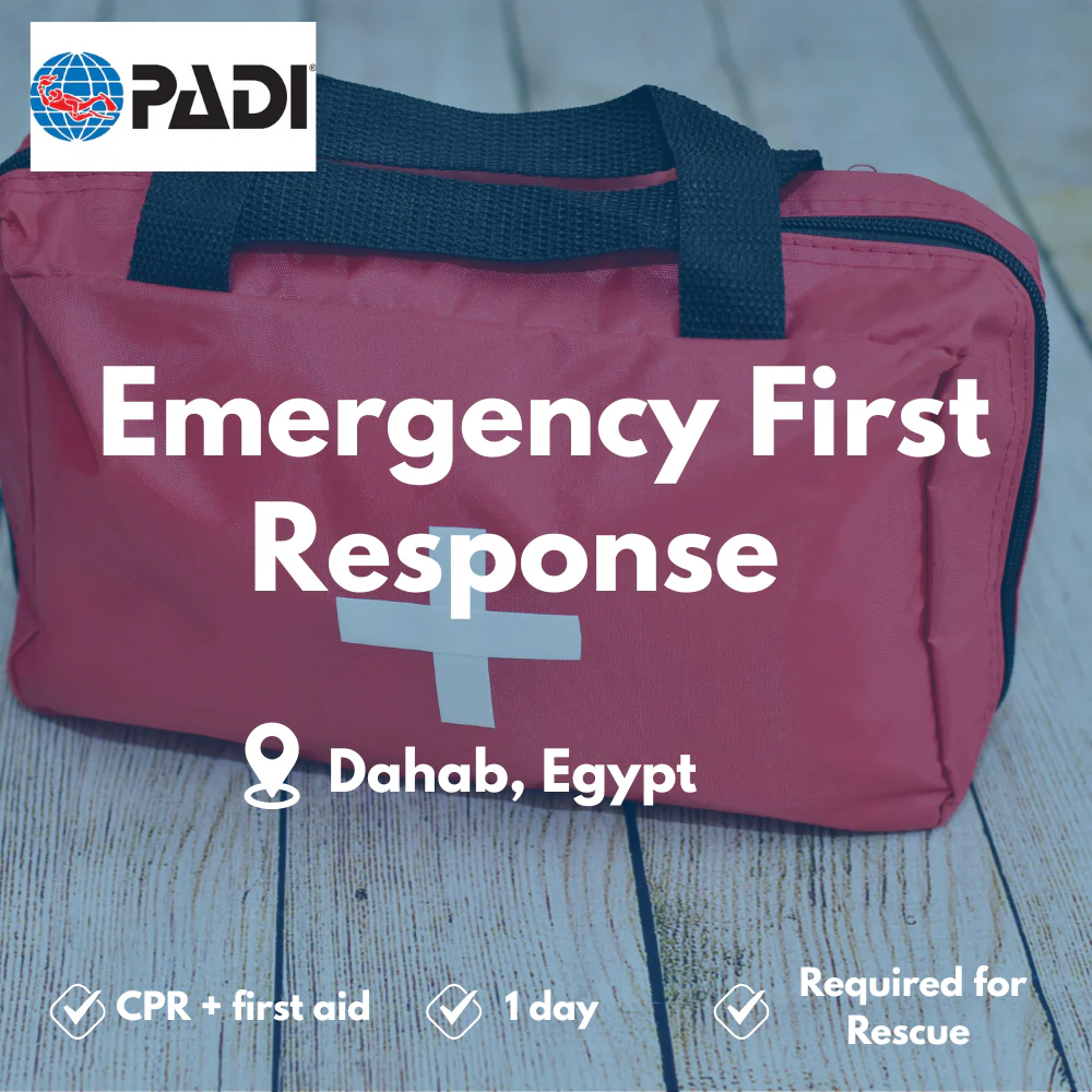 Emergency First Response course in Dahab