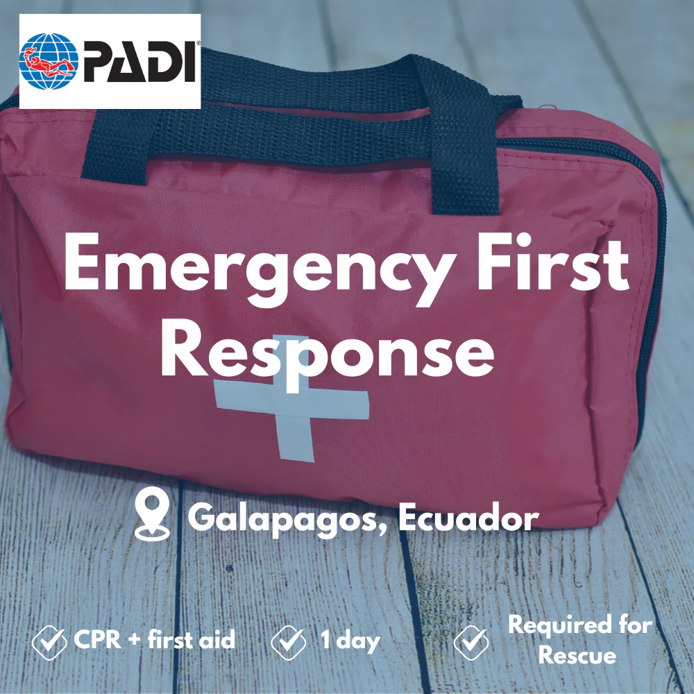 Emergency First Response course in Galapagos