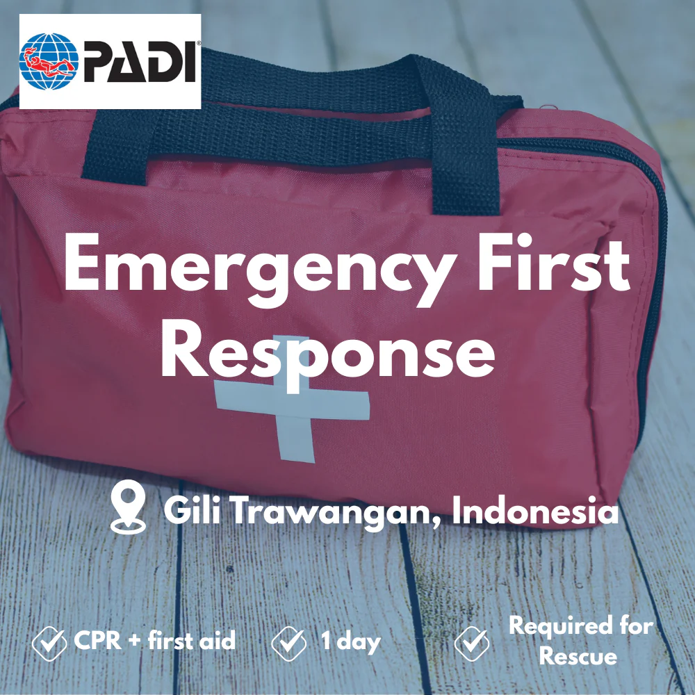 PADI Emergency First Response course in Gili Trawangan