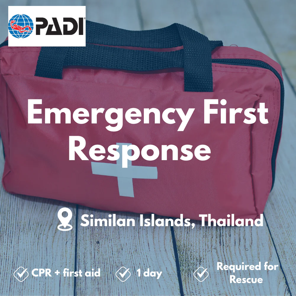 Emergency First Response course in Similan Islands