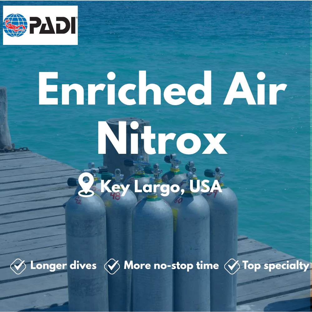 Enriched Air (Nitrox) course in Key Largo