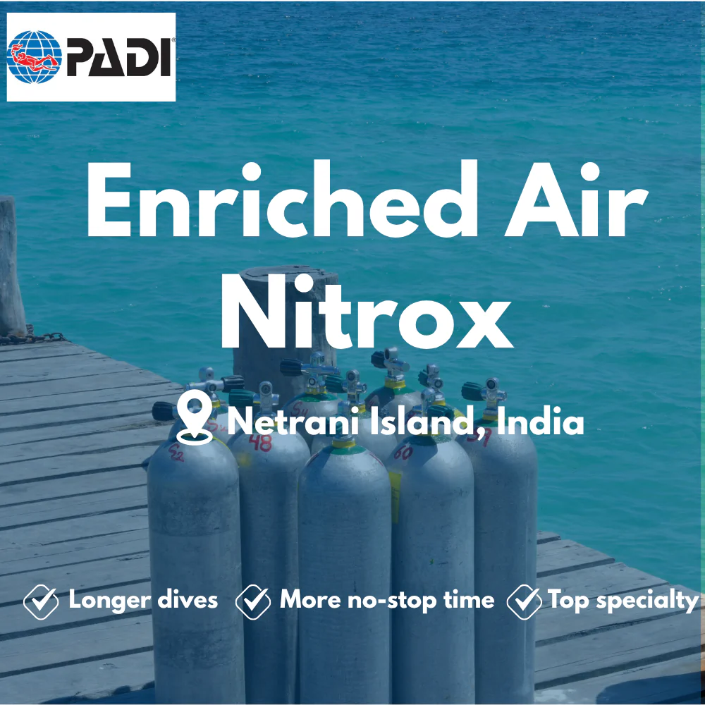 Enriched Air (Nitrox) course in Netrani Island