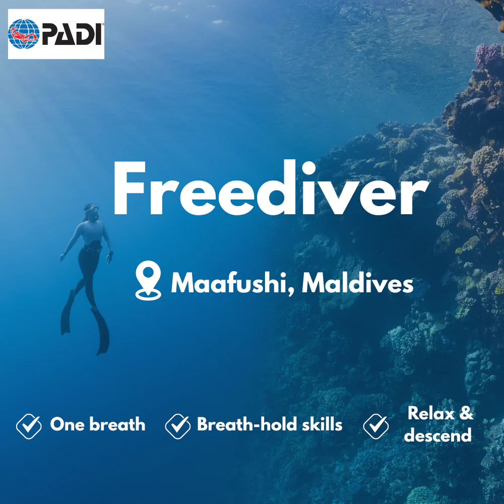 Freediving course in Maafushi