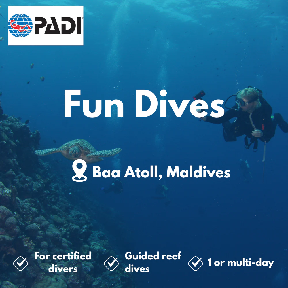Fun Dives course in Baa Atoll
