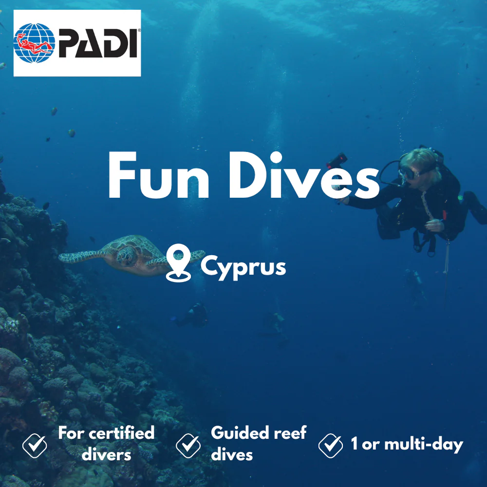 Fun Dives course in Cyprus