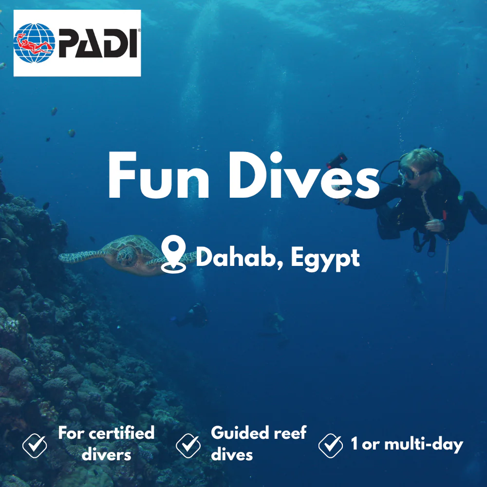 Fun Dives course in Dahab