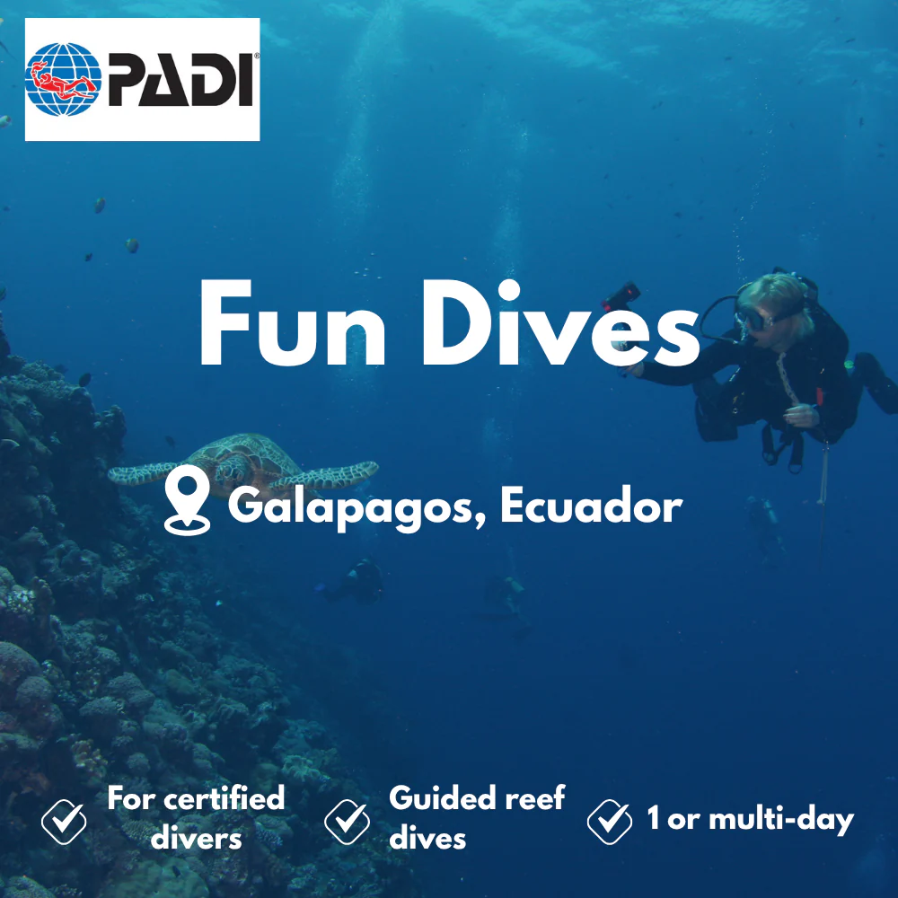 Fun Dives course in Galapagos