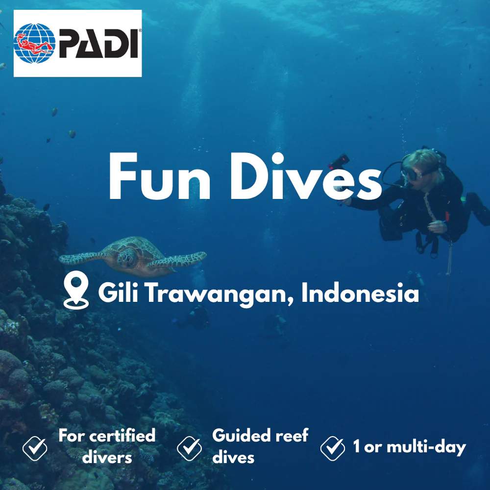 PADI Fun Dives course in Gili Trawangan