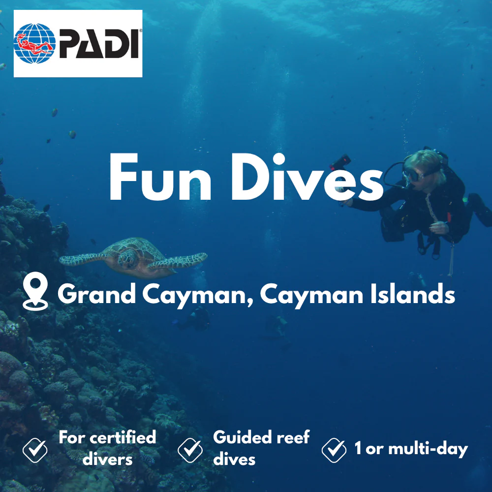 Fun Dives course in Grand Cayman