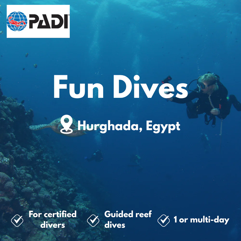 Fun Dives course in Hurghada