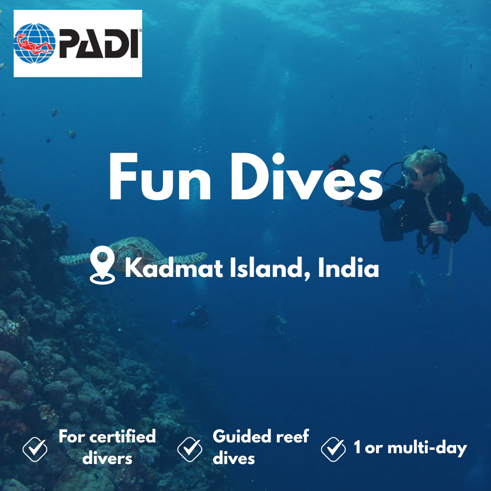 Fun Dives course in Kadmat Island