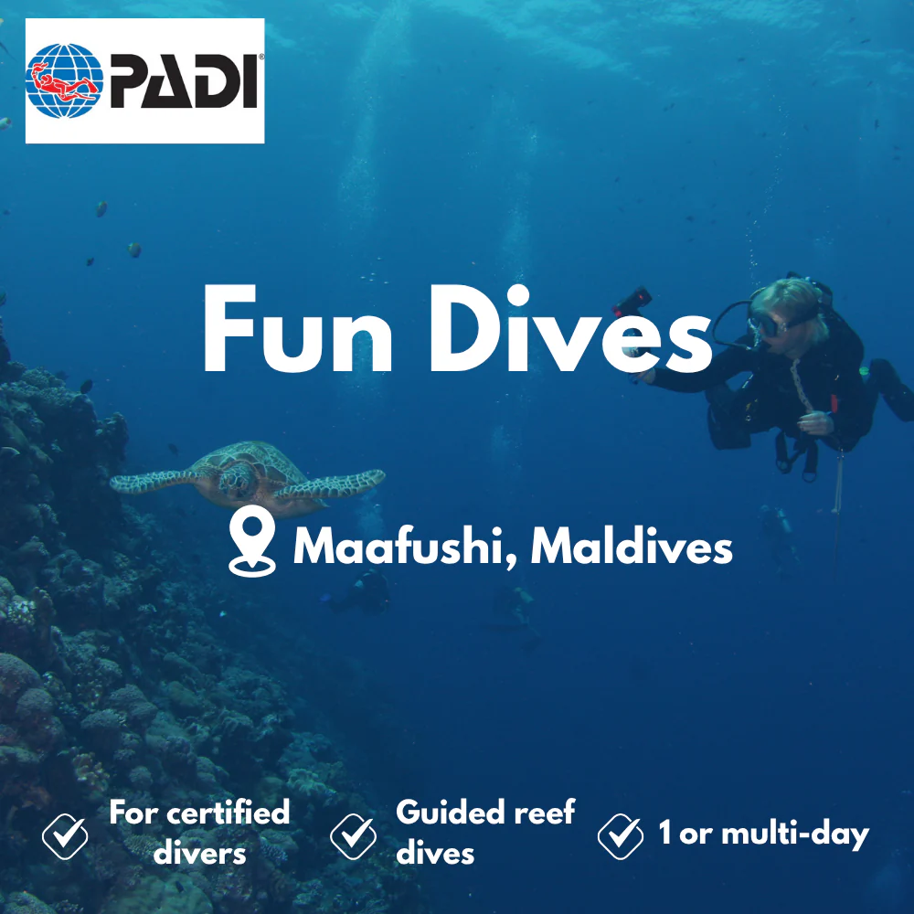 Fun Dives course in Maafushi