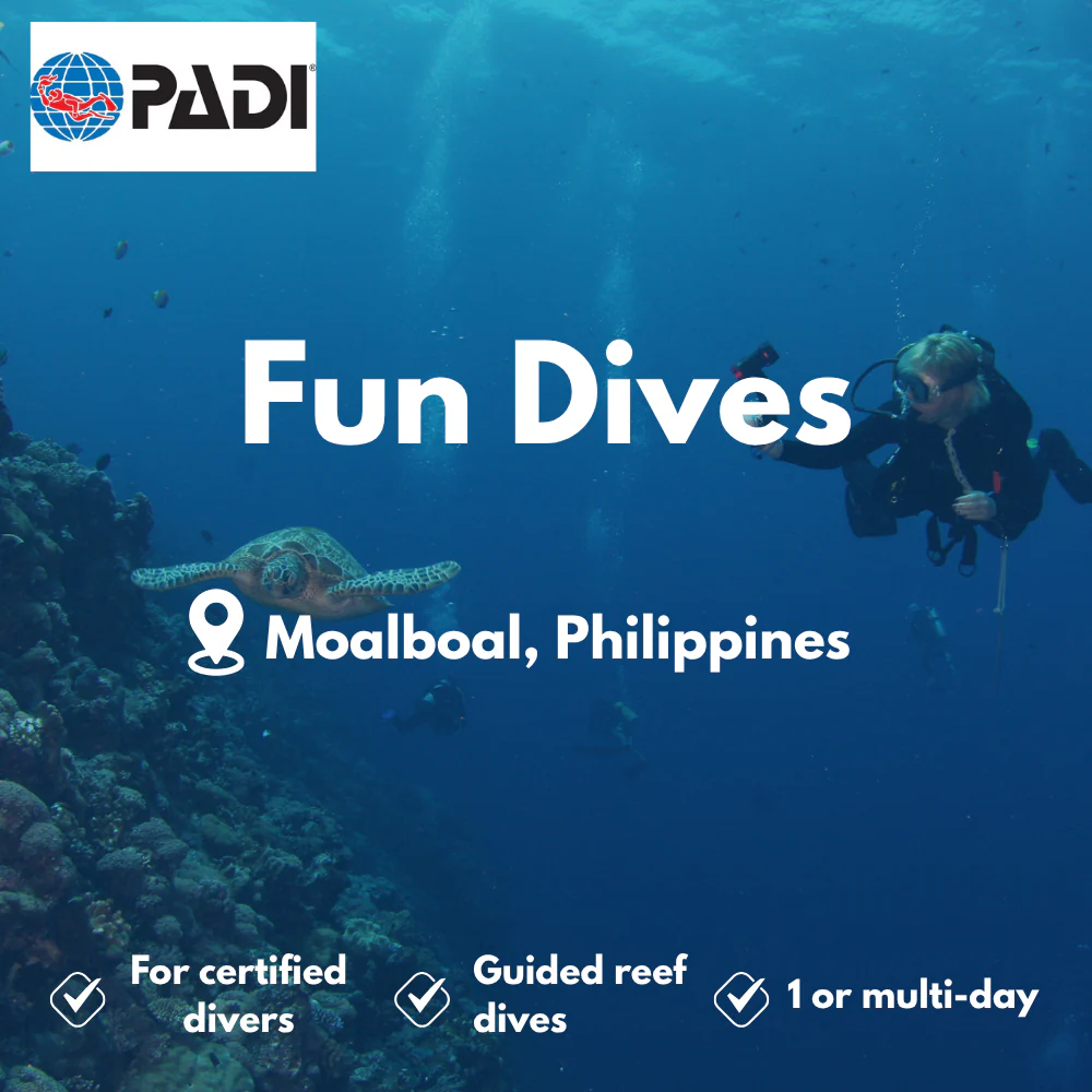 Fun Dives course in Moalboal