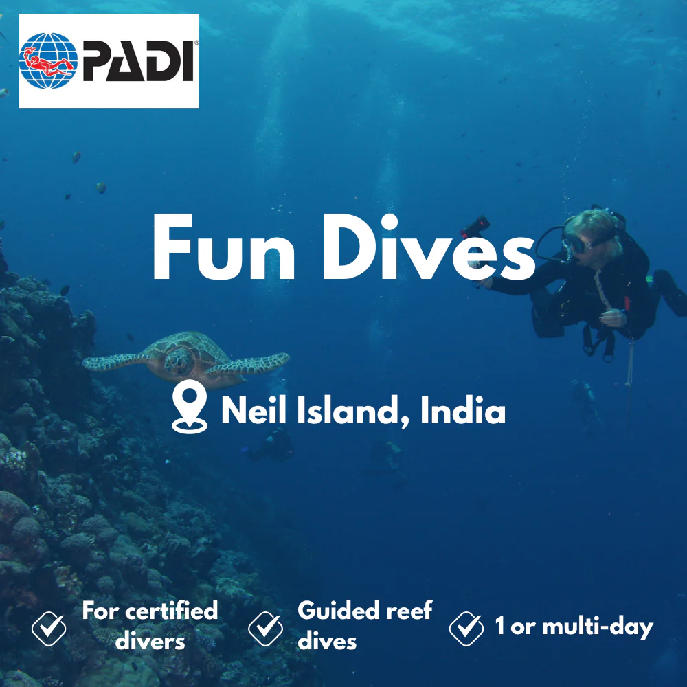 Fun Dives course in Neil Island