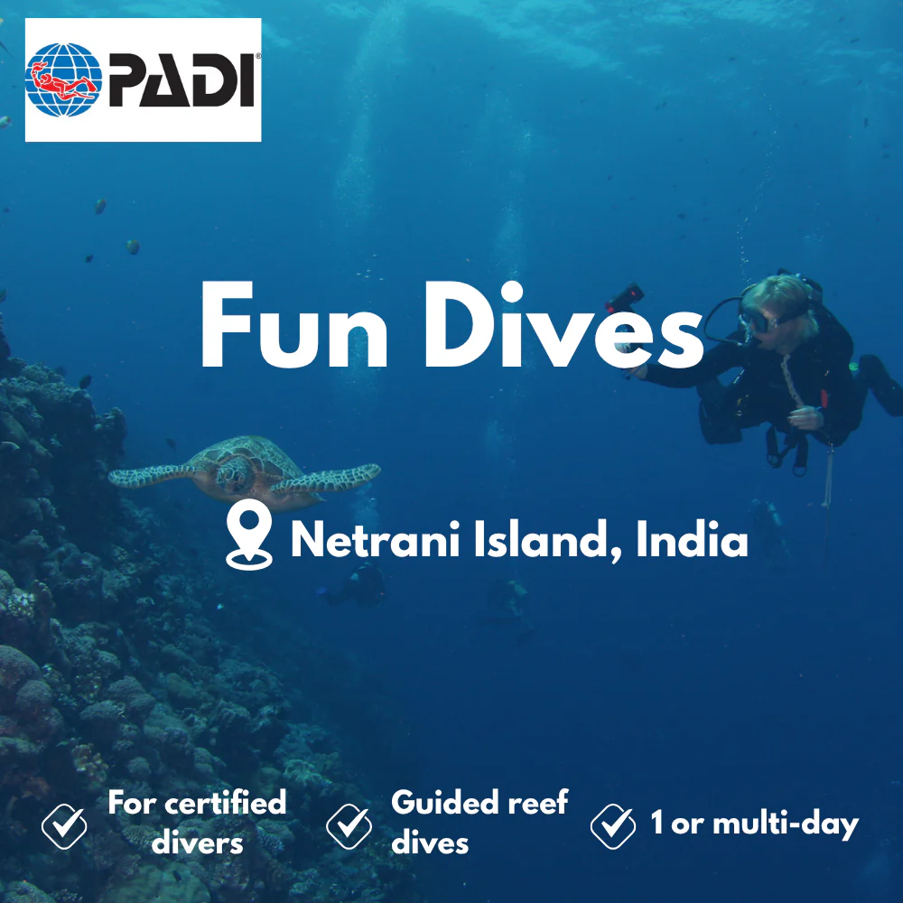 Fun Dives course in Netrani Island