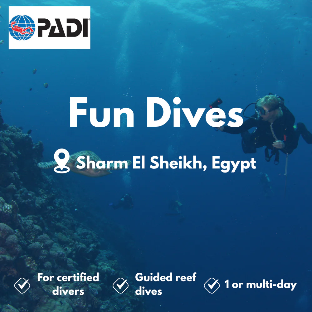 Fun Dives course in Sharm El Sheikh