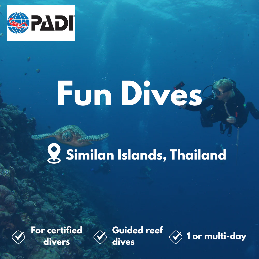 Fun Dives course in Similan Islands