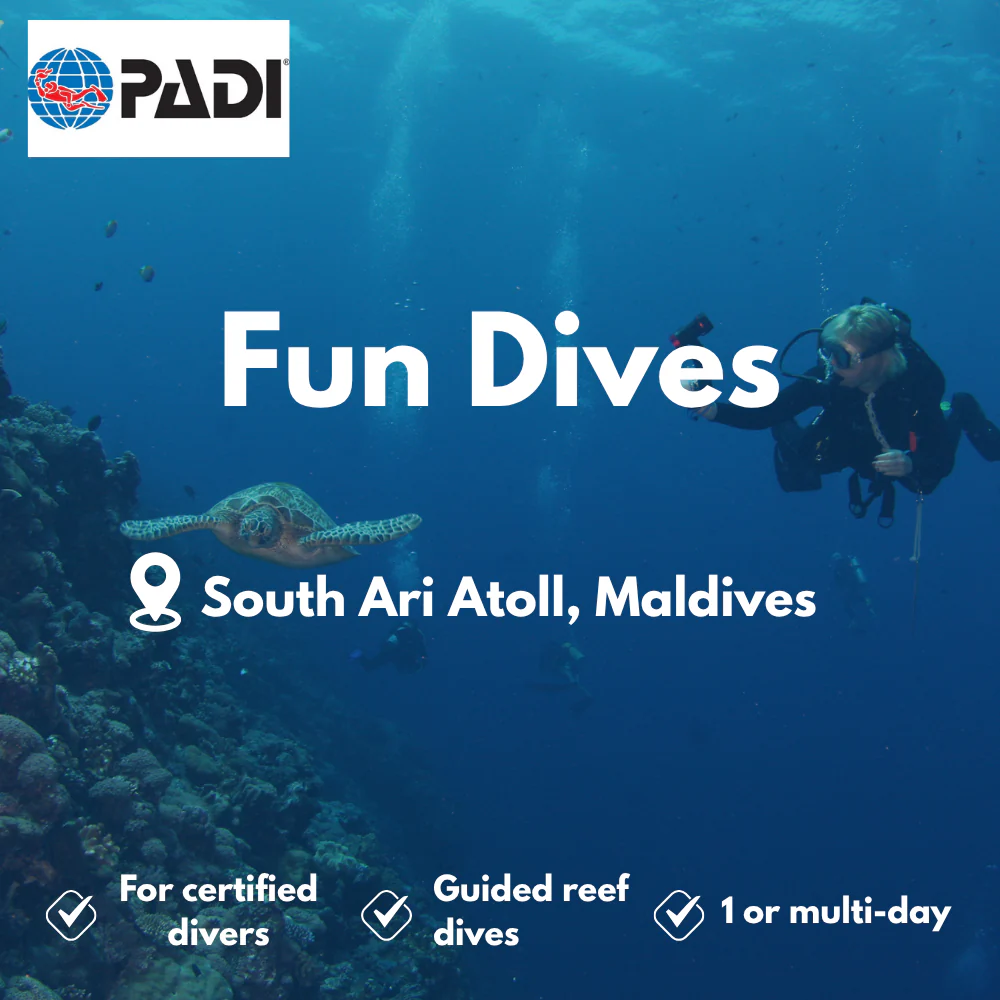 Fun Dives course in South Ari Atoll