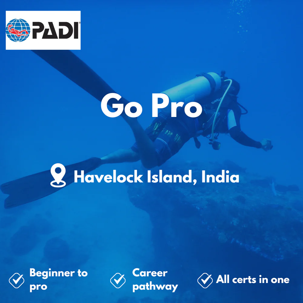 Go Pro / Zero to Hero course in Havelock Island