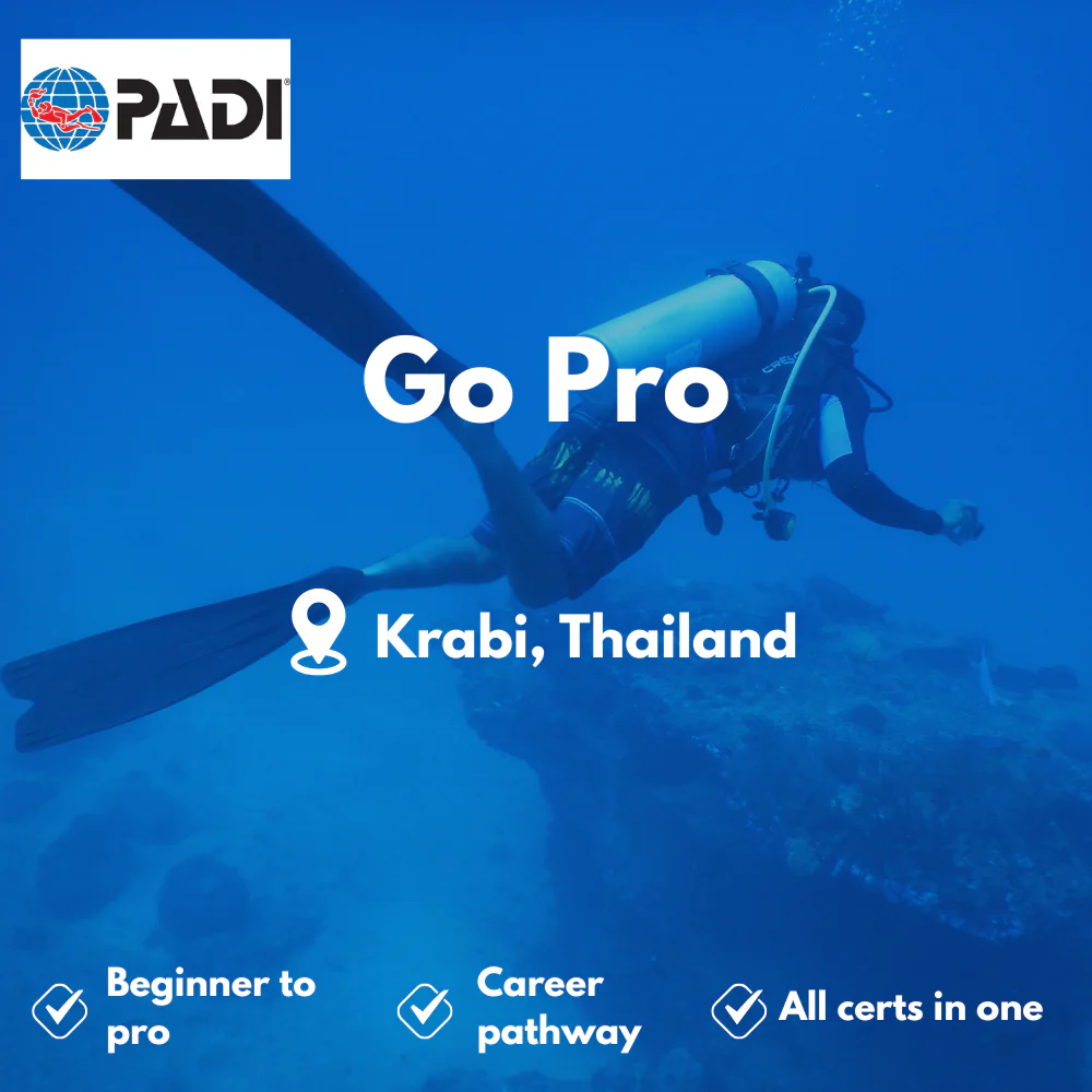 Go Pro / Zero to Hero course in Krabi